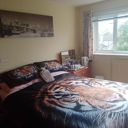 216 Glyn Eiddew Hotel Cardiff Bagian luar foto