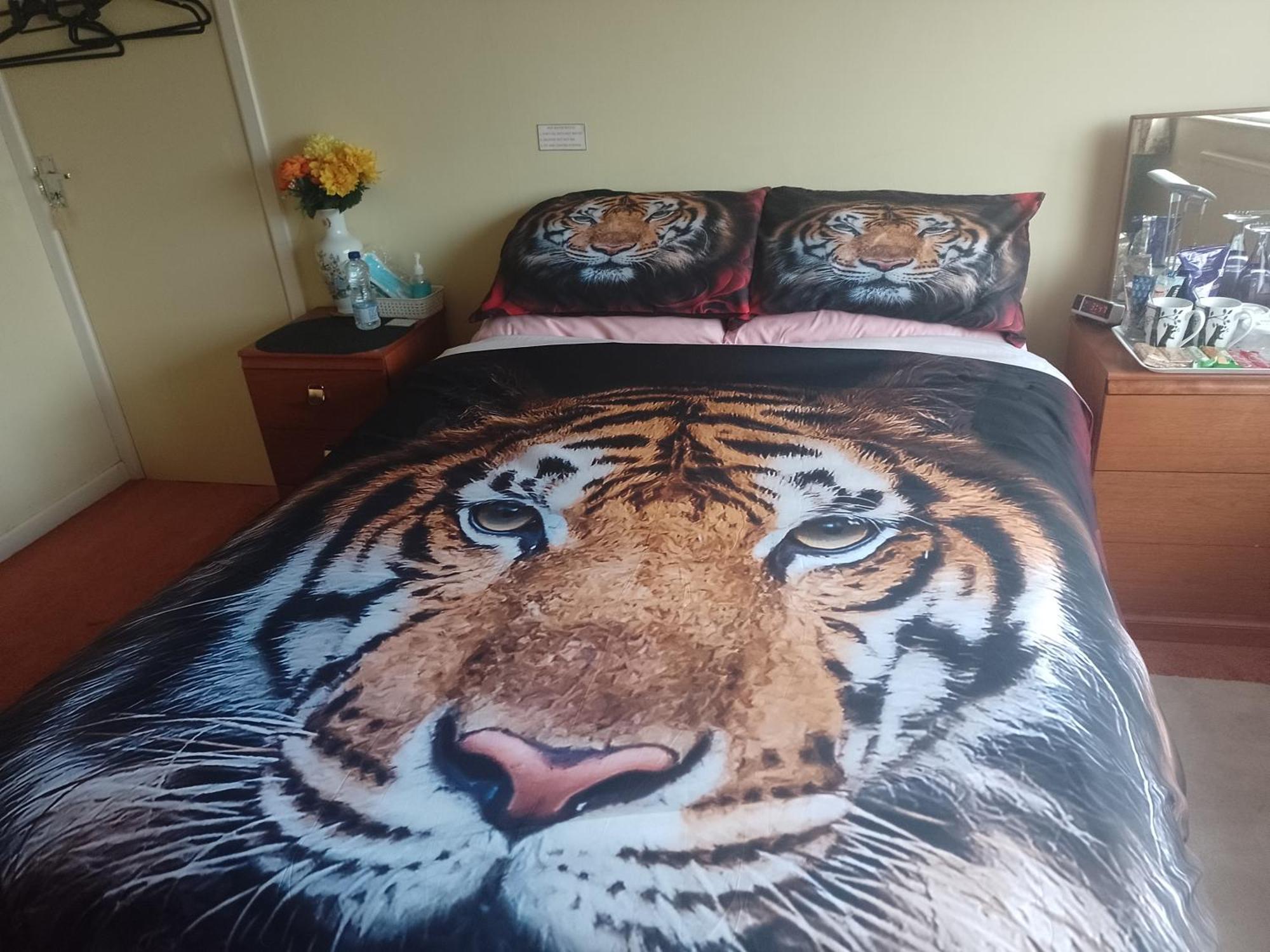 216 Glyn Eiddew Hotel Cardiff Bagian luar foto